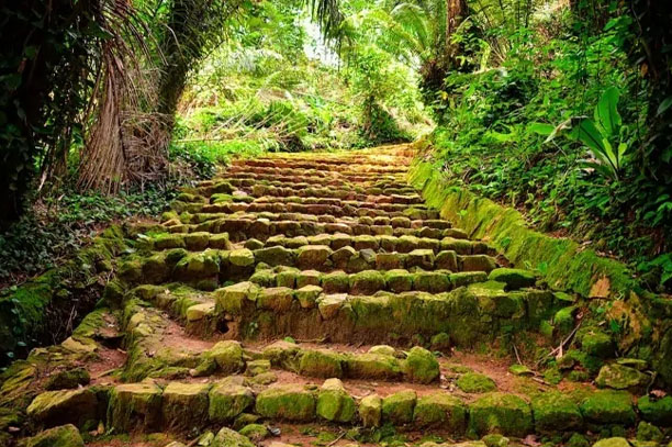 Entebbe Botanical Gardens