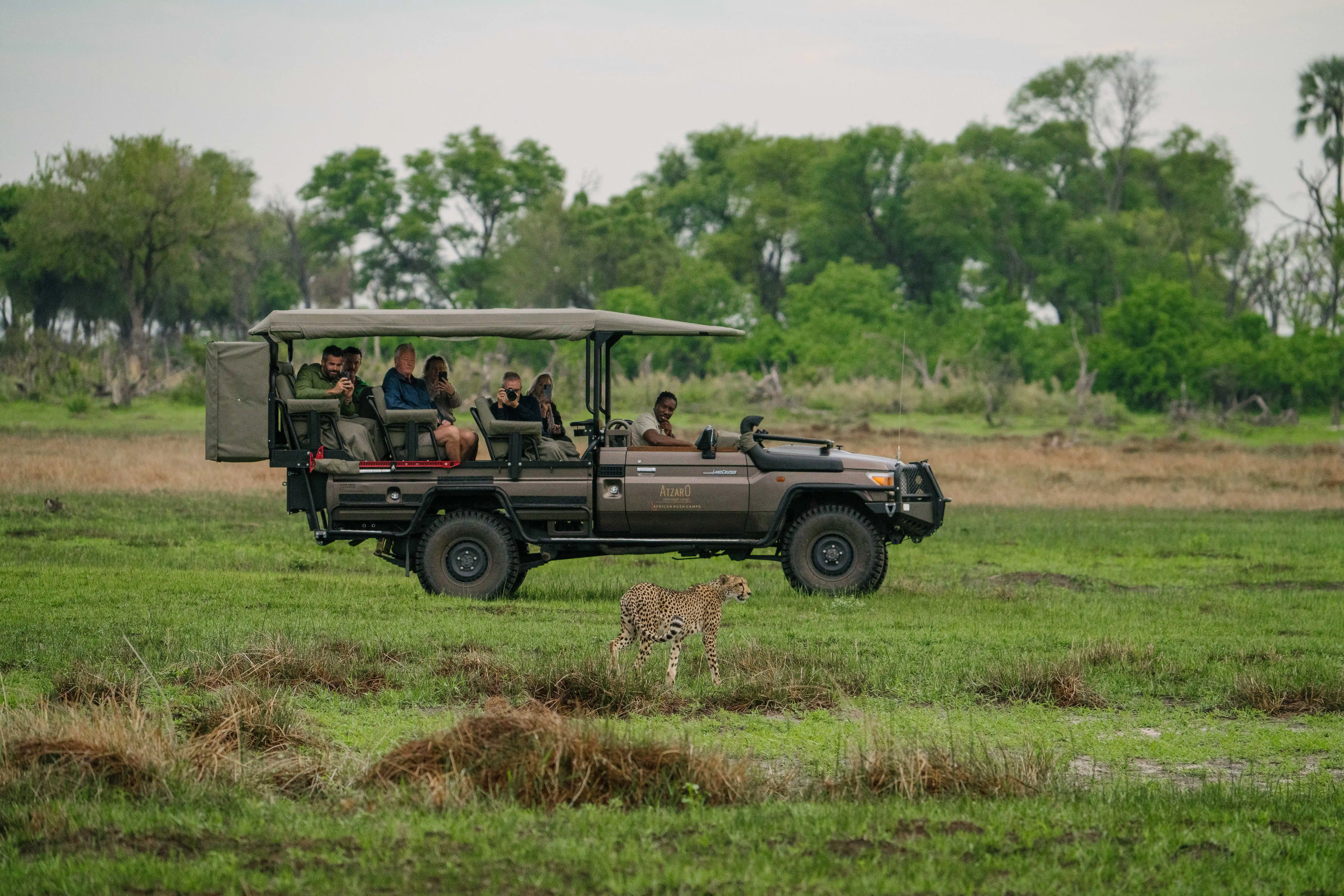 Personalized Safari Concierge Planning